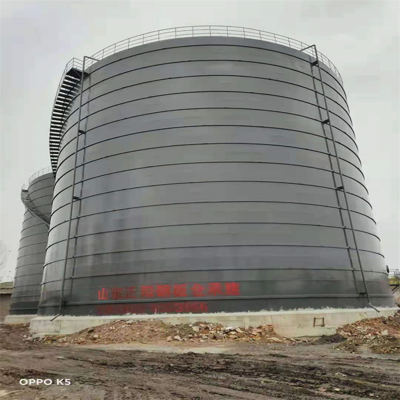 共和3万吨大型钢板库